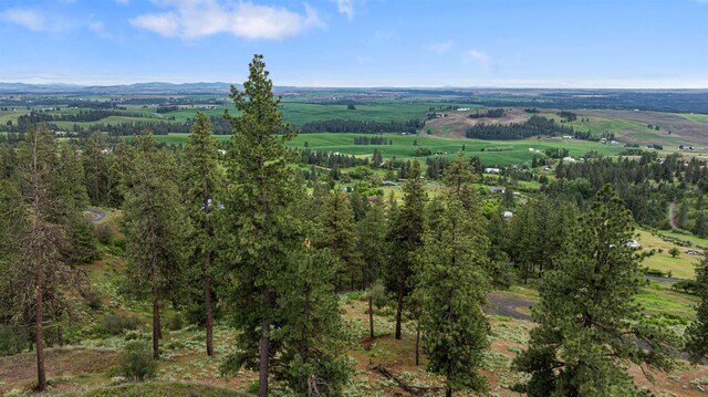 6527 E Big Rock Rd, Spokane, WA 99223 - photo 8