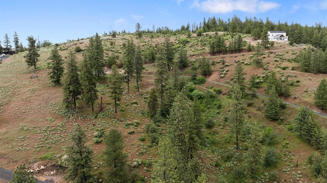 6527 E Big Rock Rd, Spokane, WA 99223 - photo 9