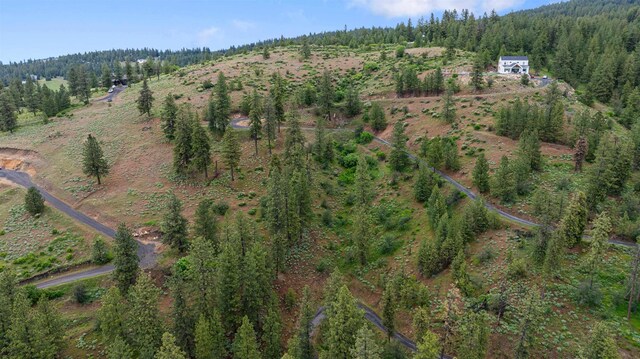 6527 E Big Rock Rd, Spokane, WA 99223 - photo 10