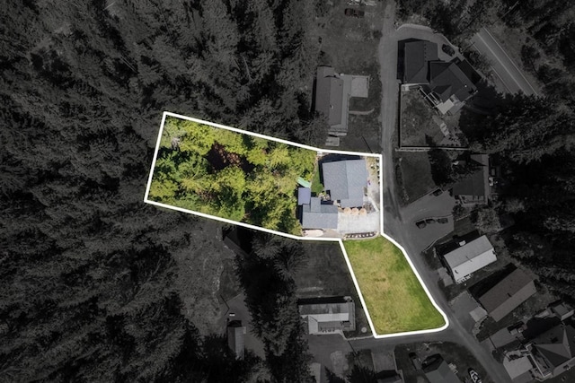 29955 N Isle View Rd, Spirit Lake, ID 83869 - aerial overview of property's location with property parcel outlined