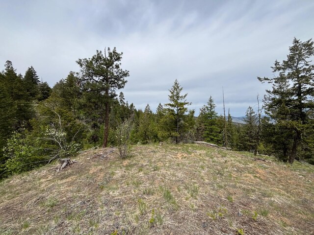 11X Rocky Canyon Rd Unit 3629220013, Tonasket, WA 98855