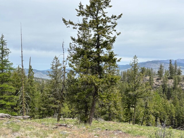 11X Rocky Canyon Rd Unit 3629220013, Tonasket, WA 98855