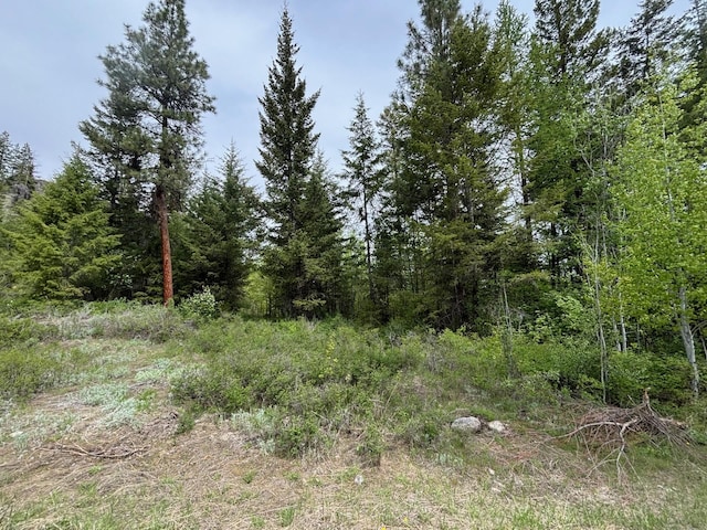 1XX Rocky Canyon Rd Unit 3629220014, Tonasket, WA 98855