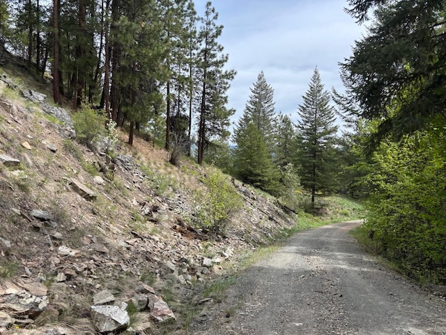 1XX Rocky Canyon Rd Unit 3629220014, Tonasket, WA 98855