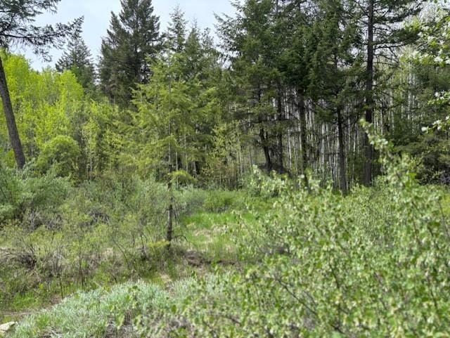 1XX Rocky Canyon Rd Unit 3629220014, Tonasket, WA 98855
