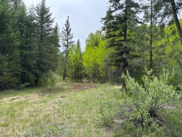 1XX Rocky Canyon Rd Unit 3629220014, Tonasket, WA 98855