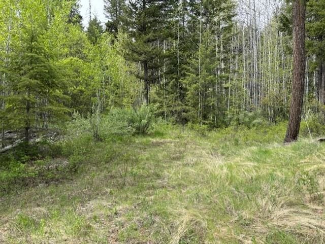1XX Rocky Canyon Rd Unit 3629220014, Tonasket, WA 98855