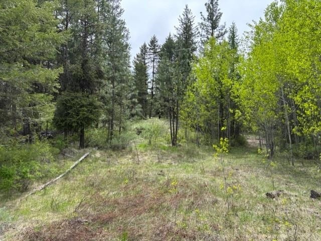 1XX Rocky Canyon Rd Unit 3629220014, Tonasket, WA 98855
