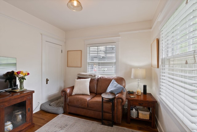 living area featuring wood finished floors