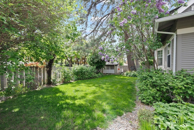 view of yard