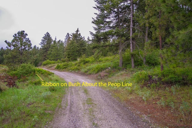 2420A Cedonia Addy Rd, Addy, WA 99101