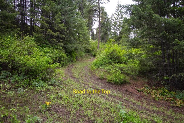 2420A Cedonia Addy Rd, Addy, WA 99101
