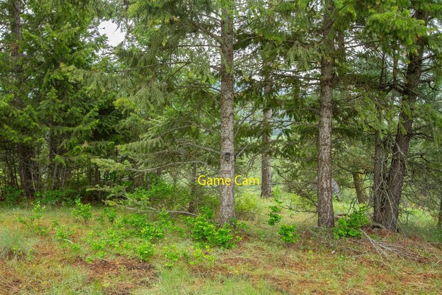 2420A Cedonia Addy Rd, Addy, WA 99101