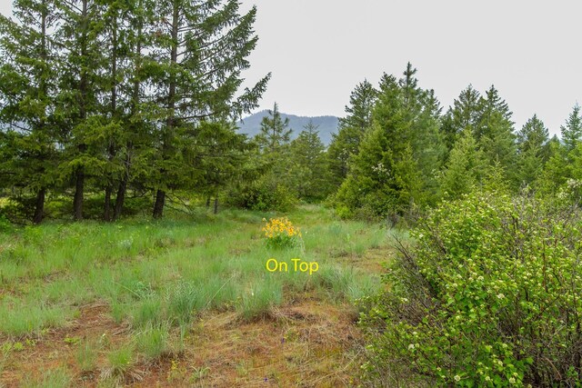2420A Cedonia Addy Rd, Addy, WA 99101