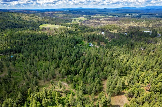000 E Nelson Rd, Elk, WA 99009