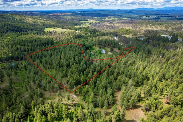 000 E Nelson Rd, Elk, WA 99009