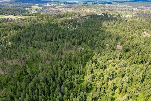 000 E Nelson Rd, Elk, WA 99009