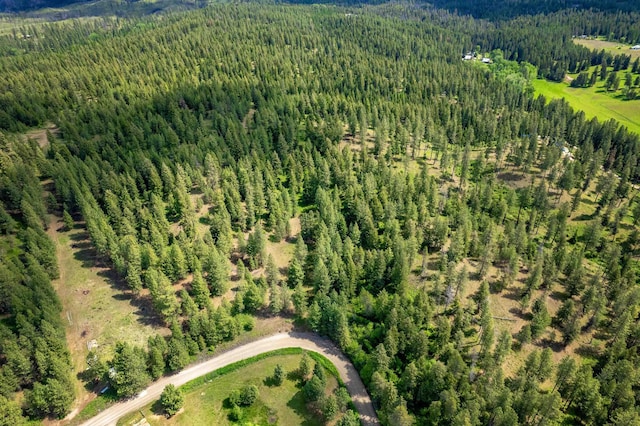 000 E Nelson Rd, Elk, WA 99009