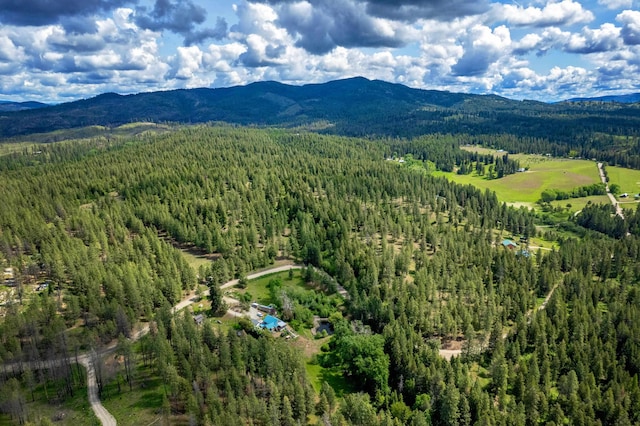 000 E Nelson Rd, Elk, WA 99009