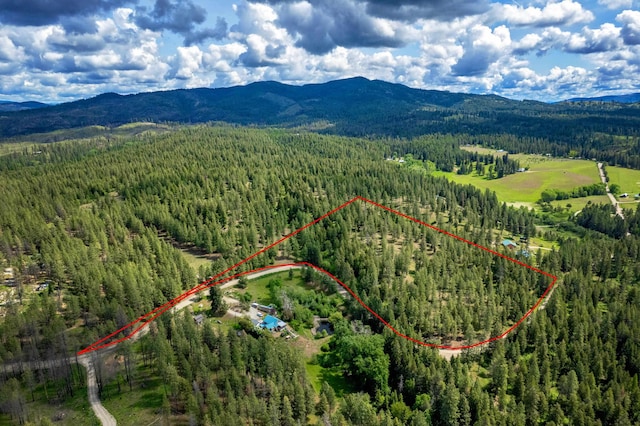 000 E Nelson Rd, Elk, WA 99009