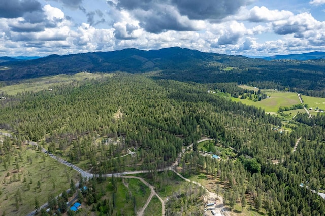 000 E Nelson Rd, Elk, WA 99009