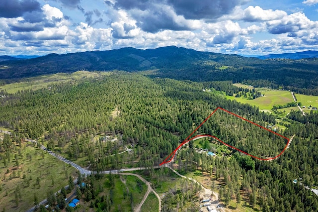 000 E Nelson Rd, Elk, WA 99009
