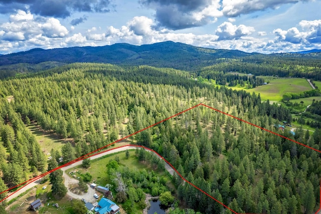 000 E Nelson Rd, Elk, WA 99009