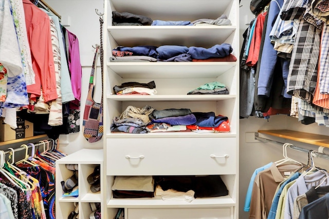 10610 N Iroquois Dr, Spokane, WA 99208 - view of walk in closet