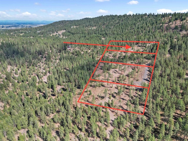 NKA Weaver Way Lot 4Of Lot 2, Deer Park, WA 99006 - photo 1