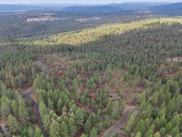 NKA Weaver Way Lot 4Of Lot 2, Deer Park, WA 99006 - photo 2