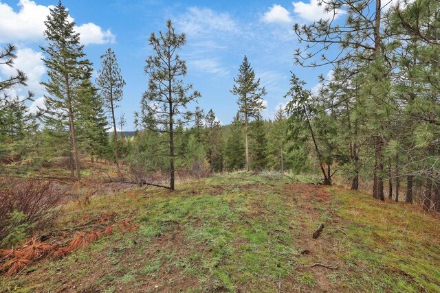 NKA Weaver Way Lot 4Of Lot 2, Deer Park, WA 99006 - photo 11