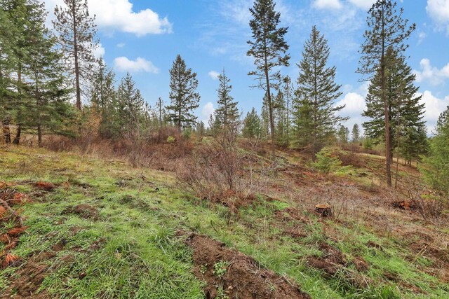 NKA Weaver Way Lot 4Of Lot 2, Deer Park, WA 99006 - photo 12