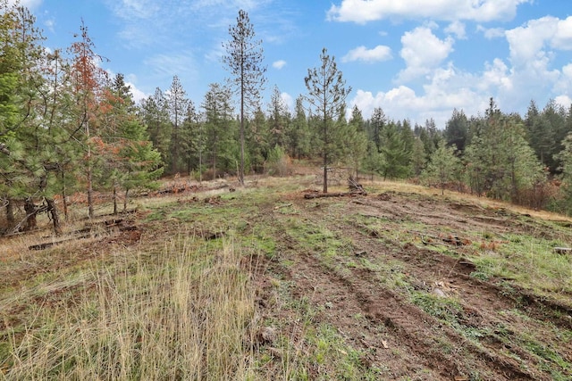 NKA Weaver Way Lot 4Of Lot 2, Deer Park, WA 99006 - photo 13