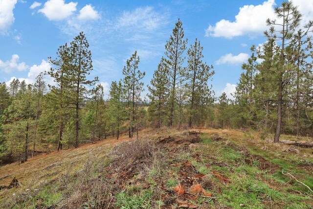 NKA Weaver Way Lot 4Of Lot 2, Deer Park, WA 99006 - photo 14