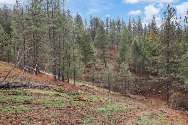 NKA Weaver Way Lot 4Of Lot 2, Deer Park, WA 99006 - photo 15