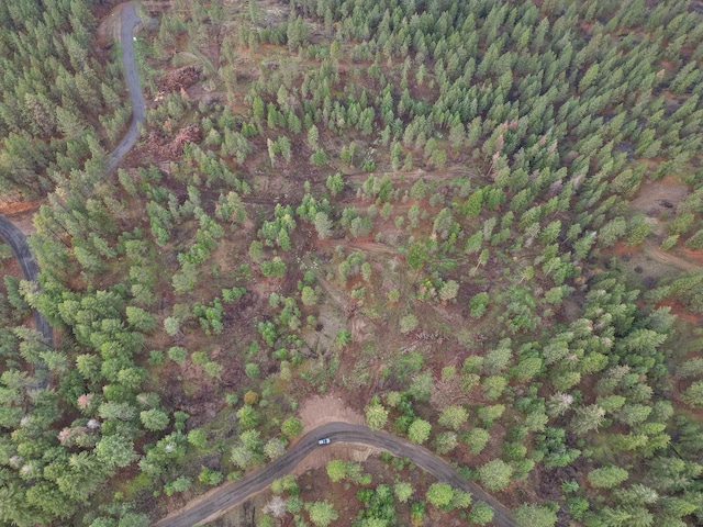 NKA Weaver Way Lot 4Of Lot 2, Deer Park, WA 99006 - photo 3