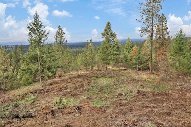NKA Weaver Way Lot 4Of Lot 2, Deer Park, WA 99006 - photo 4