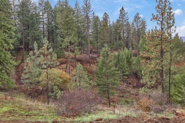 NKA Weaver Way Lot 4Of Lot 2, Deer Park, WA 99006 - photo 5