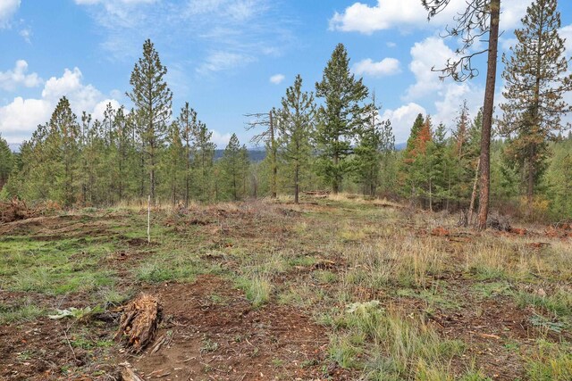 NKA Weaver Way Lot 4Of Lot 2, Deer Park, WA 99006 - photo 7