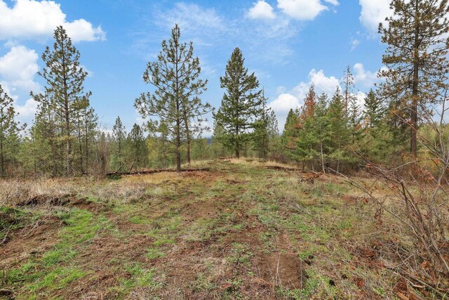 NKA Weaver Way Lot 4Of Lot 2, Deer Park, WA 99006 - photo 8