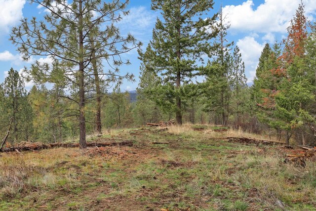 NKA Weaver Way Lot 4Of Lot 2, Deer Park, WA 99006 - photo 9