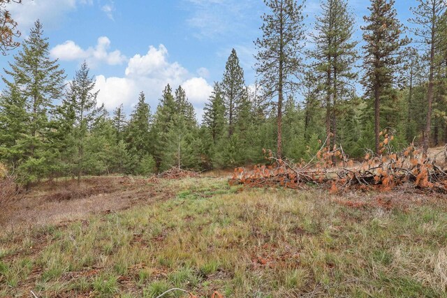 NKA Weaver Way Lot 4Of Lot 2, Deer Park, WA 99006 - photo 10