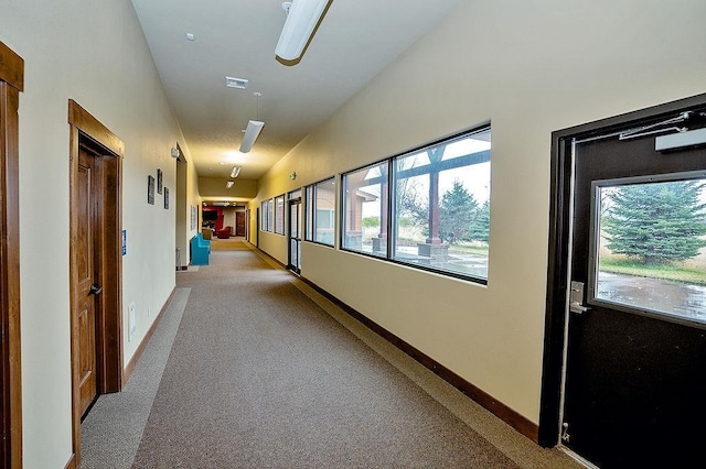 6701 N Idaho Rd, Newman Lake, WA 99025 - corridor with carpet flooring and baseboards