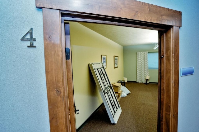6701 N Idaho Rd, Newman Lake, WA 99025 - hall featuring dark carpet and a textured wall