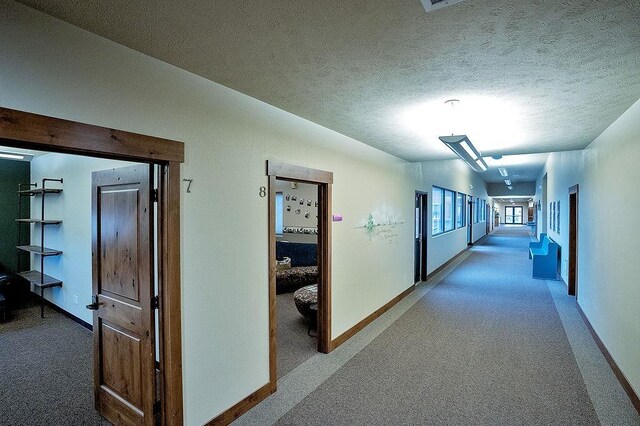 6701 N Idaho Rd, Newman Lake, WA 99025 - hallway with carpet, baseboards, and a textured ceiling