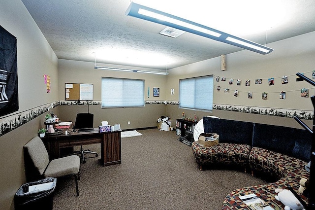 6701 N Idaho Rd, Newman Lake, WA 99025 - home office featuring carpet floors and a textured ceiling