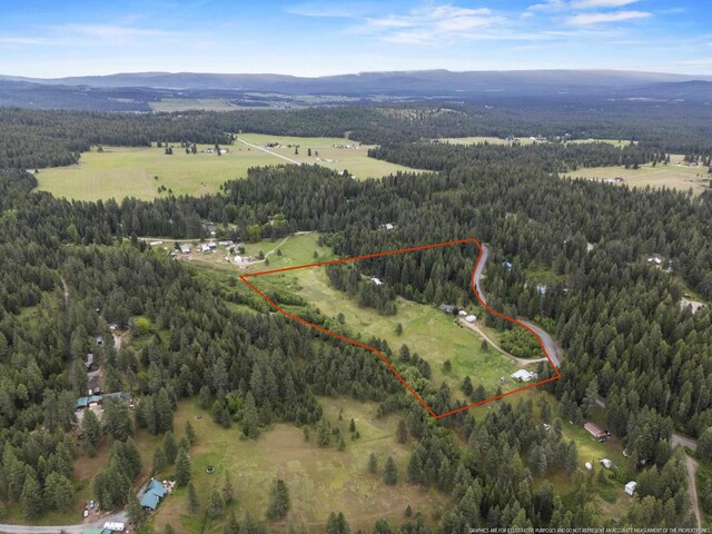 2362 Nicholson Rd, Elk, WA 99009 - aerial view of property's location with a forest, property parcel outlined, and a mountainous background
