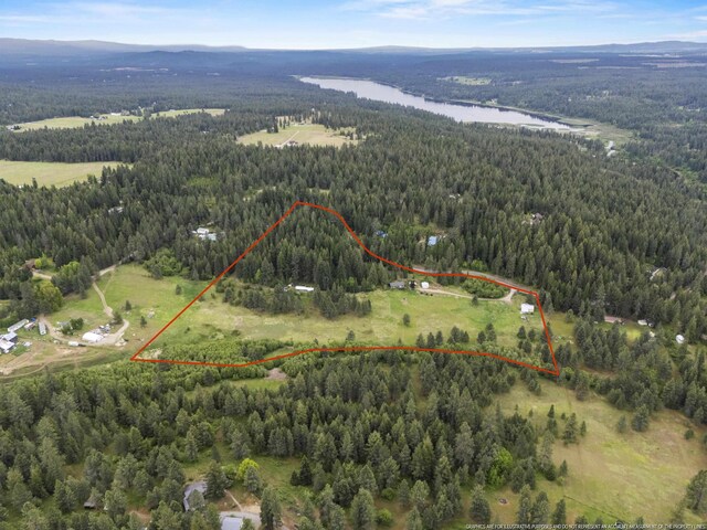 2362 Nicholson Rd, Elk, WA 99009 - aerial view of property's location with a heavily wooded area, a water and mountain view, and property boundaries highlighted