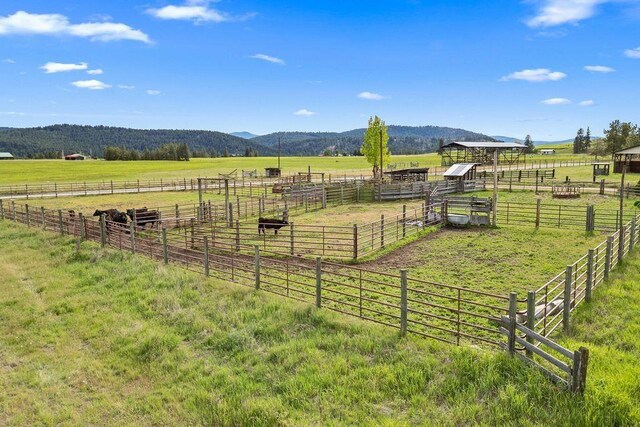 992 Bear Creek Rd, Colville, WA 99114 - photo 14