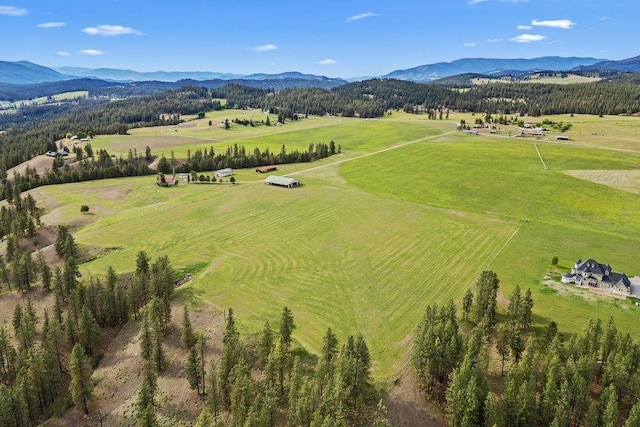 992 Bear Creek Rd, Colville, WA 99114 - photo 4